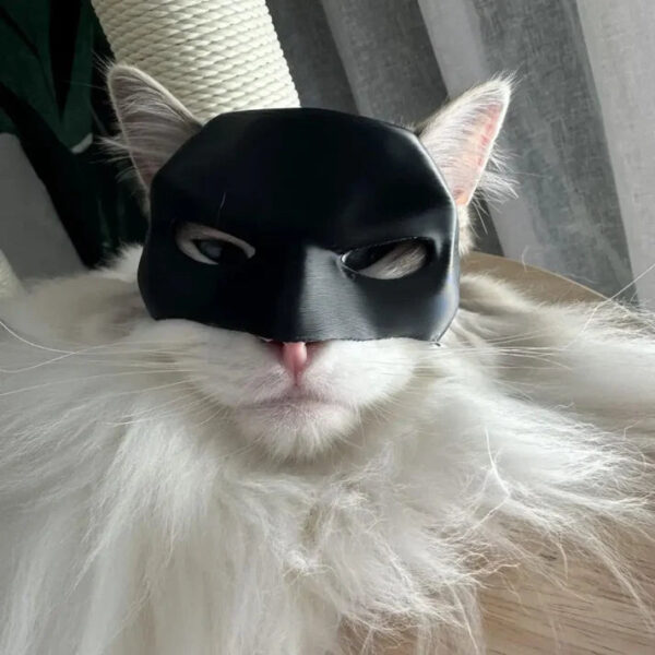 Batman Mask For Your Cat - Image 4