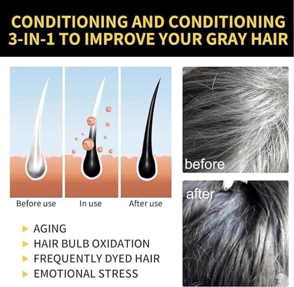 Natural Black Hair 3- IN-1 Dye Shampoo - Image 6
